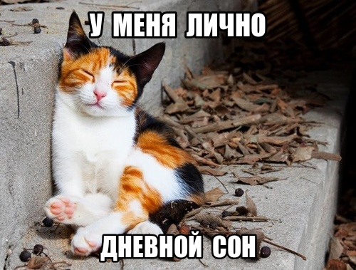 Прикрепленная картинка