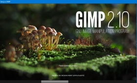 GIMP 2.10.4 Final (x86-x64) (2018) Multi/Rus