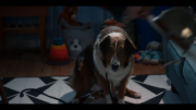 Руби, собака-спасатель / Rescued by Ruby (2022) WEB-DL 1080p от селезень | D | 4.33 GB