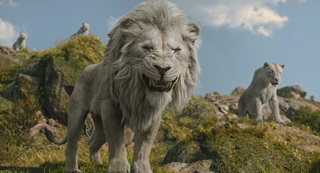 :   / Mufasa: The Lion King (2024/WEB-DL/WEB-DLRip)