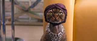 Волшебный домик Габби в кино / Gabby's Dollhouse: The Movie (2025/BDRip) Волшебный домик Габби в кино / Gabby's Dollhouse: The Movie (2025/BDRip)