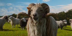 Movie cover image