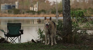 Movie cover image