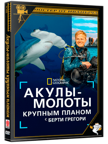 NG. Акулы-молоты крупным планом с Берти Грегори / Hammerhead Sharks Up Close with Bertie Gregory (2026) WEB-DL 1080p