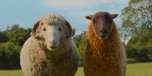 Movie cover image