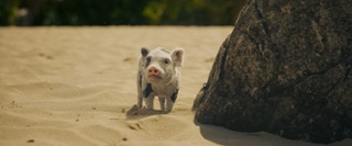 ����� / Moana (2026/WEB-DL/WEB-DLRip)
