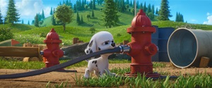 Movie cover image