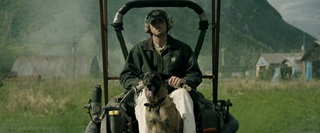 ������� ����� / The Dog Stars (2026/WEB-DL/WEB-DLRip)