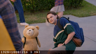   / Ted [S01] (2024/WEBRip)
