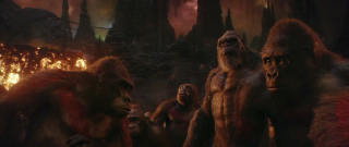   :   / Godzilla x Kong: The New Empire (2024/4K/WEB-DL/WEB-DLRip)