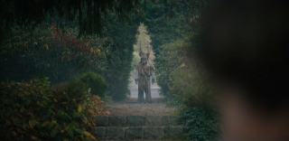 ������������ ���. ������� ��������� / The Arborist (2025/WEB-DL/WEB-DLRip)