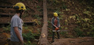 ������������ ���. ������� ��������� / The Arborist (2025/WEB-DL/WEB-DLRip)