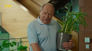 ������ � ������� (2026/WEBRip)